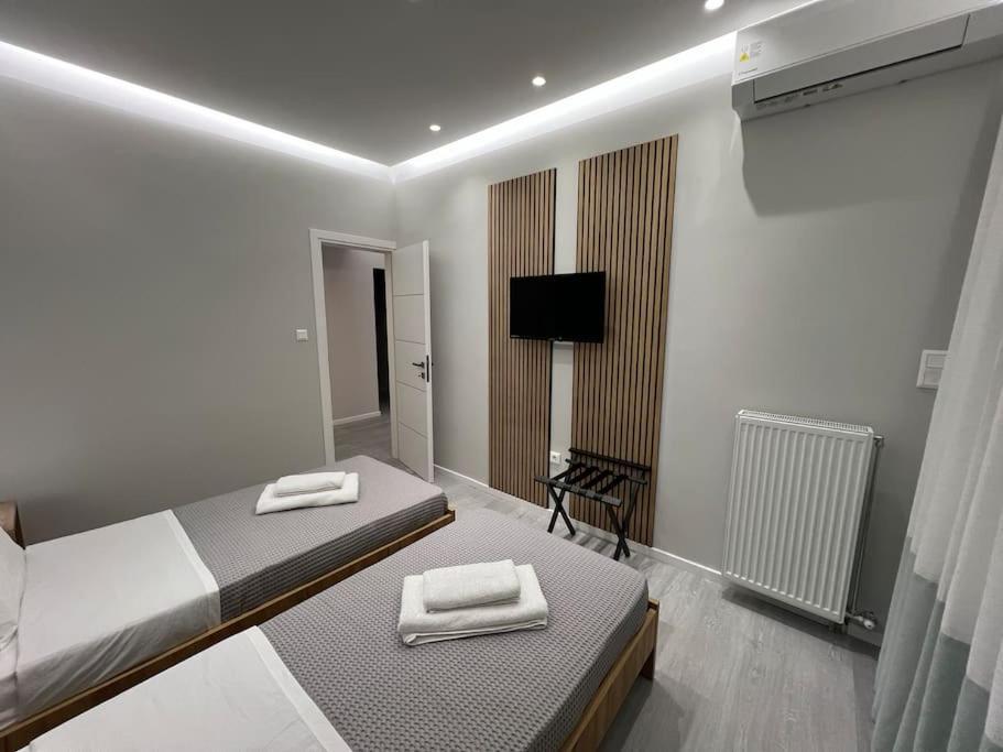 Luxury Apartment Near Acropolis 雅典 外观 照片